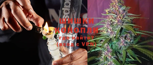 гашик Болохово