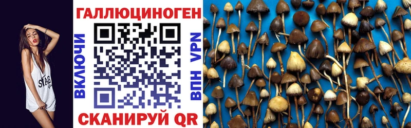 Галлюциногенные грибы Psilocybe  купить наркотик  shop какой сайт  Лангепас 