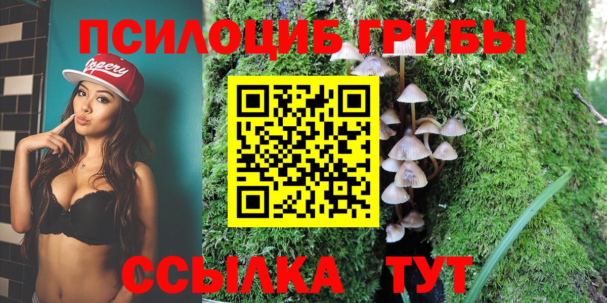 Галлюциногенные грибы Cubensis  Вход с VPN  Лангепас 