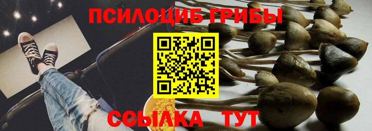 Галлюциногенные грибы Cubensis Лангепас